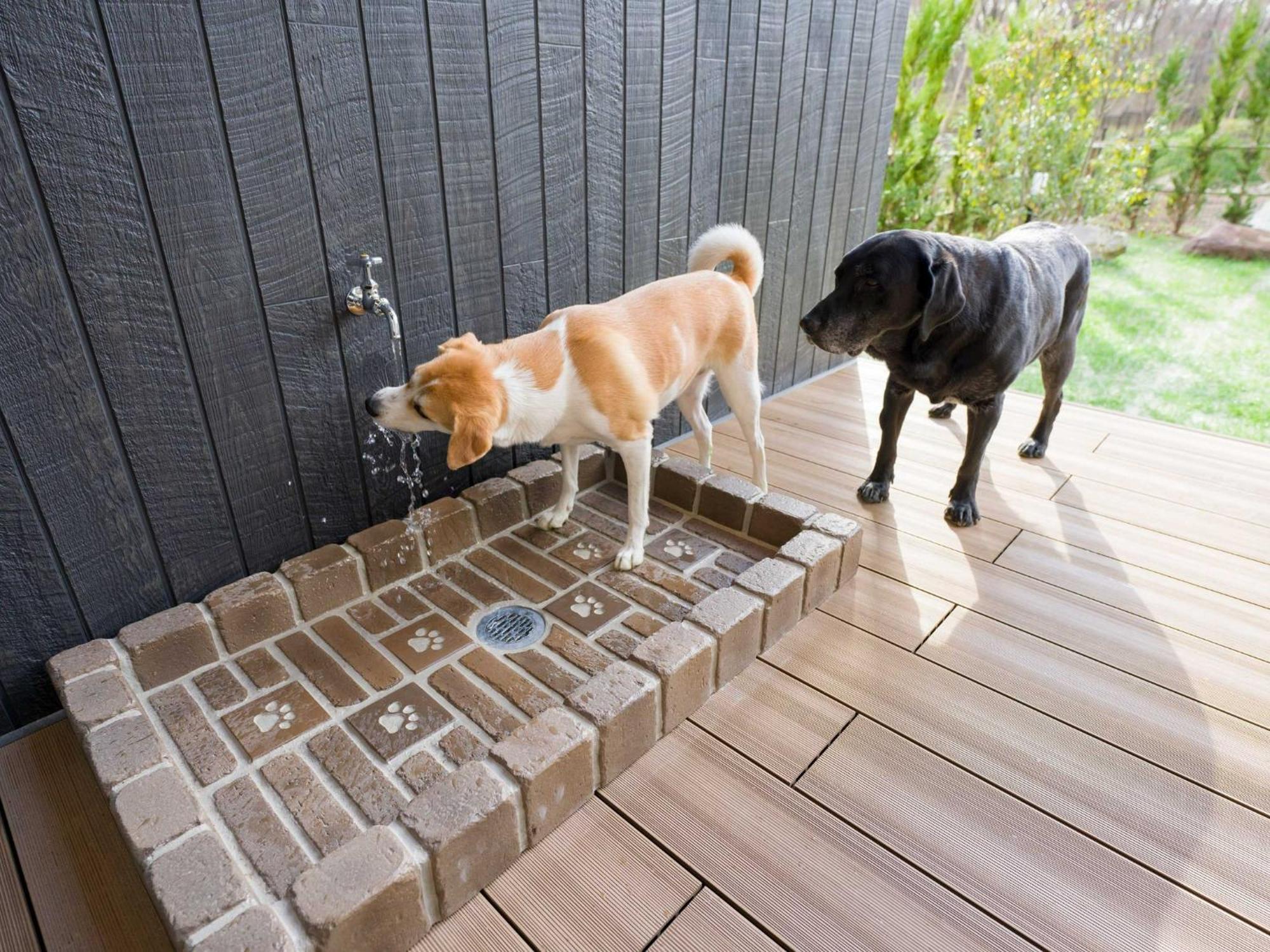 Rakuten Nasu Type Pet Allowed Capacity Of 10 Persons