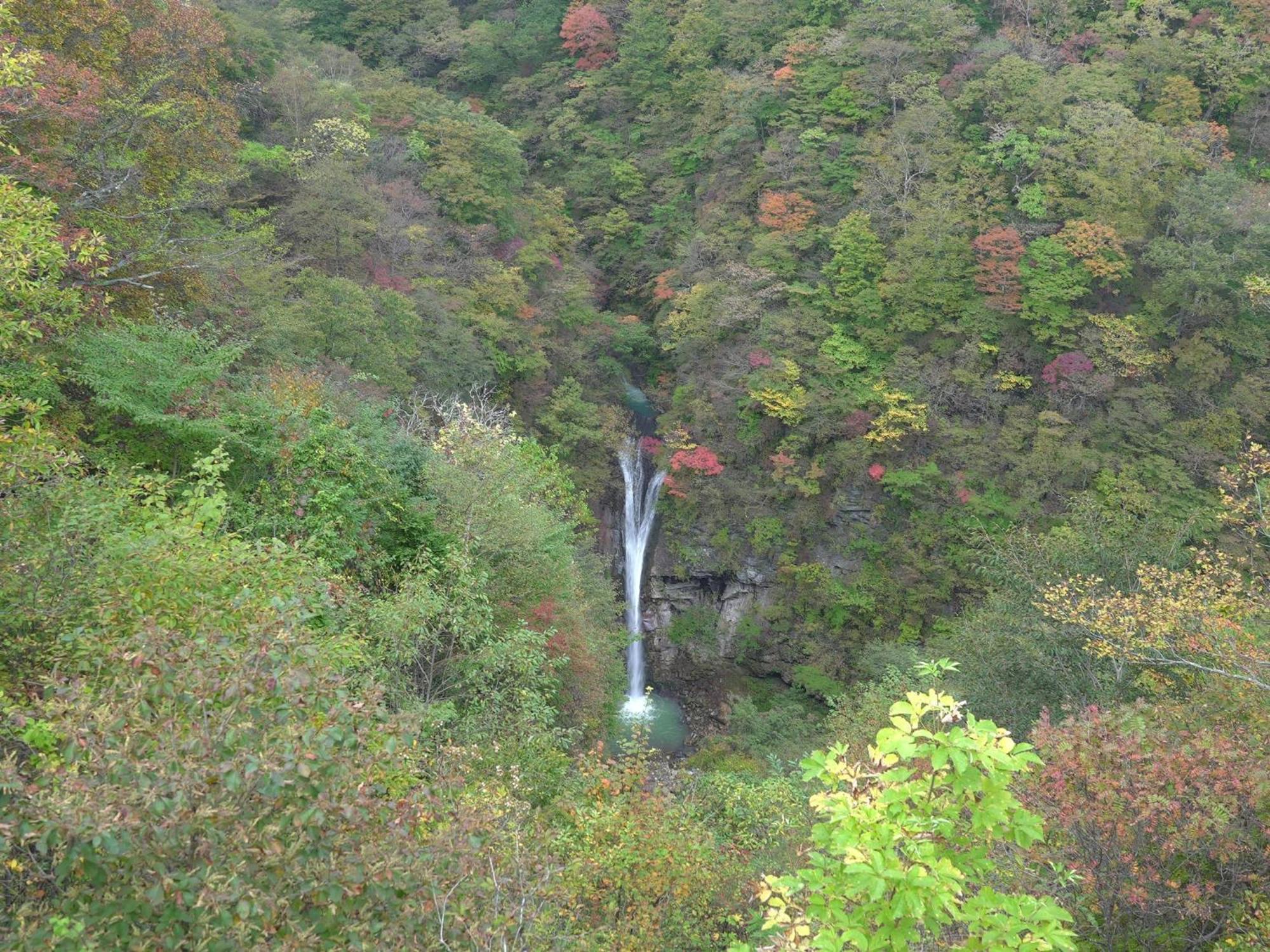 Rakuten Nasu Type Pet Allowed Capacity Of 10 Persons * Nasuyumoto
